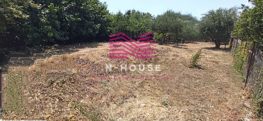Photo 320508988