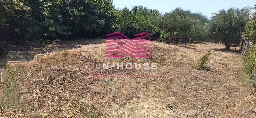 Photo 320508991