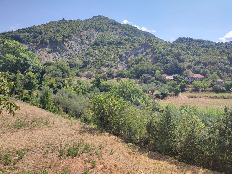 Photo 320570566