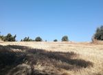 Photo 320674318