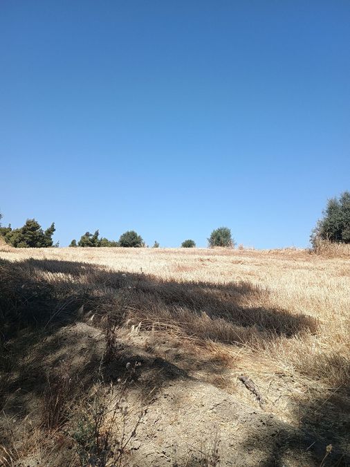 Photo 320674318