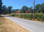 Photo 320790445