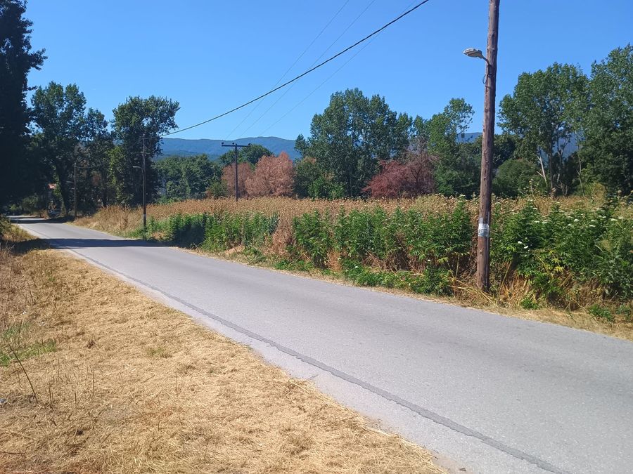 Photo 320790445