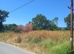Photo 320790844