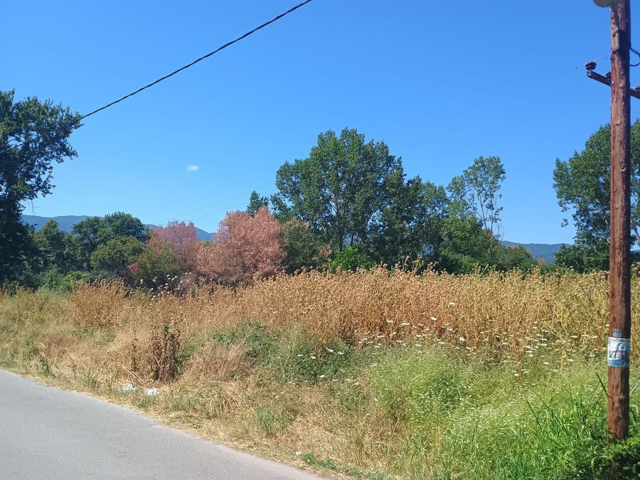 Photo 320790844