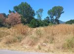 Photo 320791087