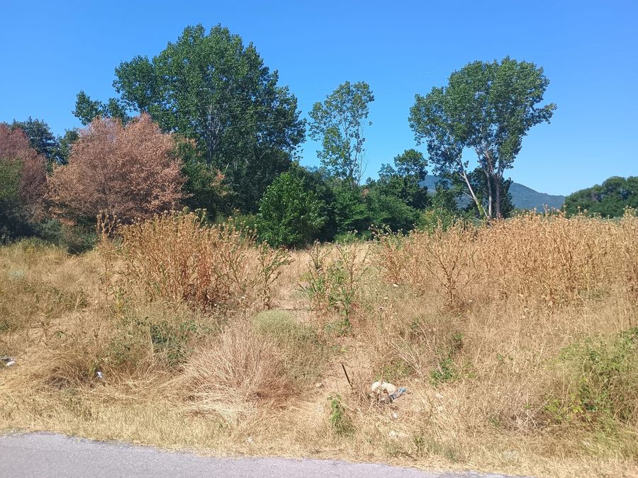 Photo 320791087