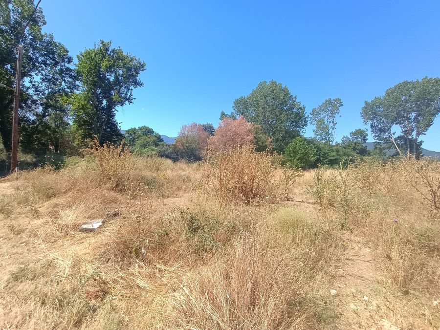 Photo 320792101
