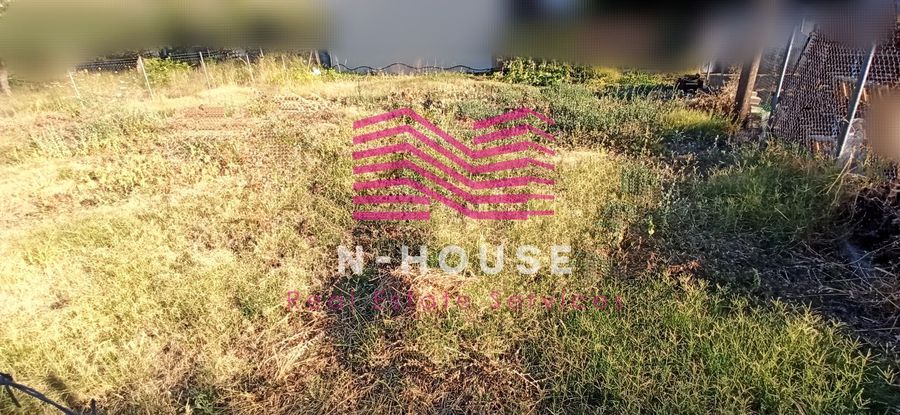 Photo 320978761