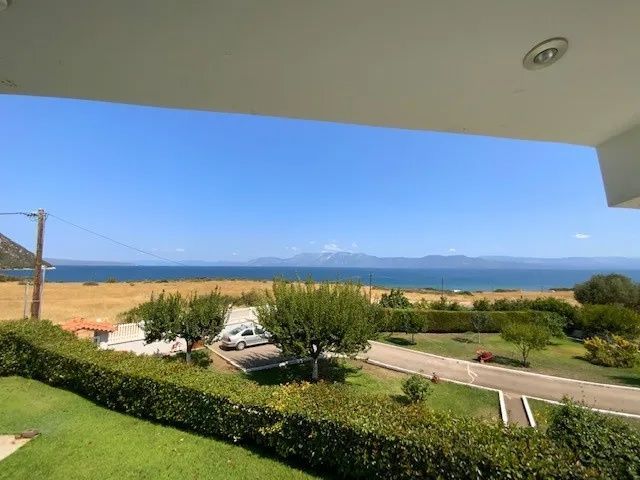 Photo 321085612