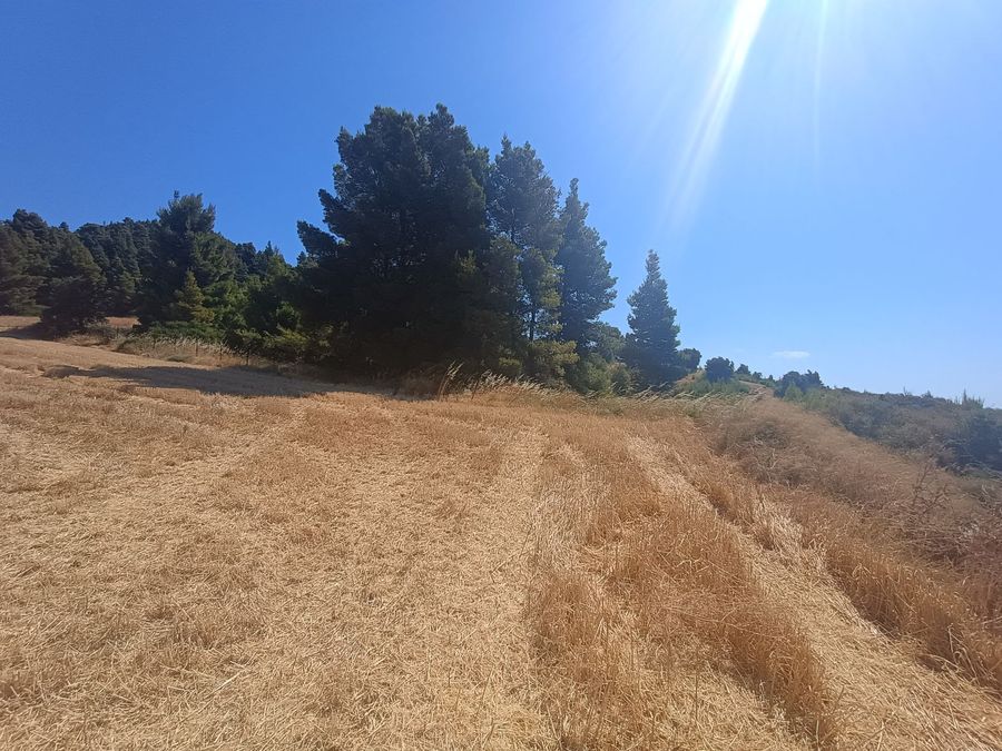Photo 321291058