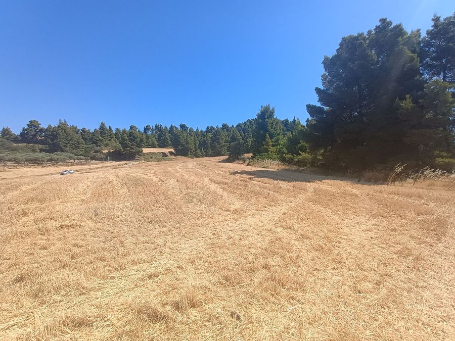 Photo 321291061