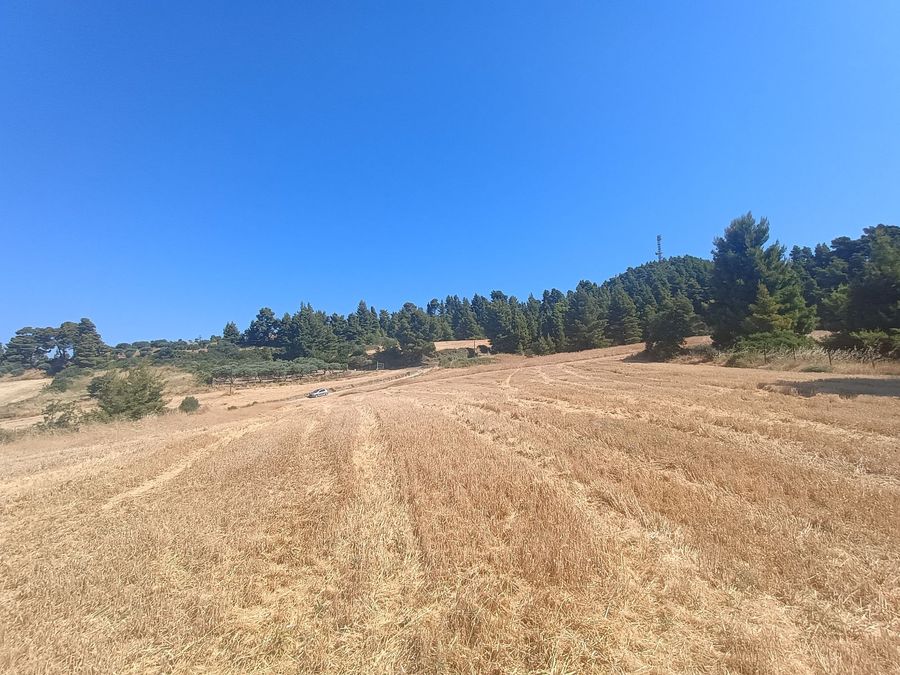 Photo 321291073