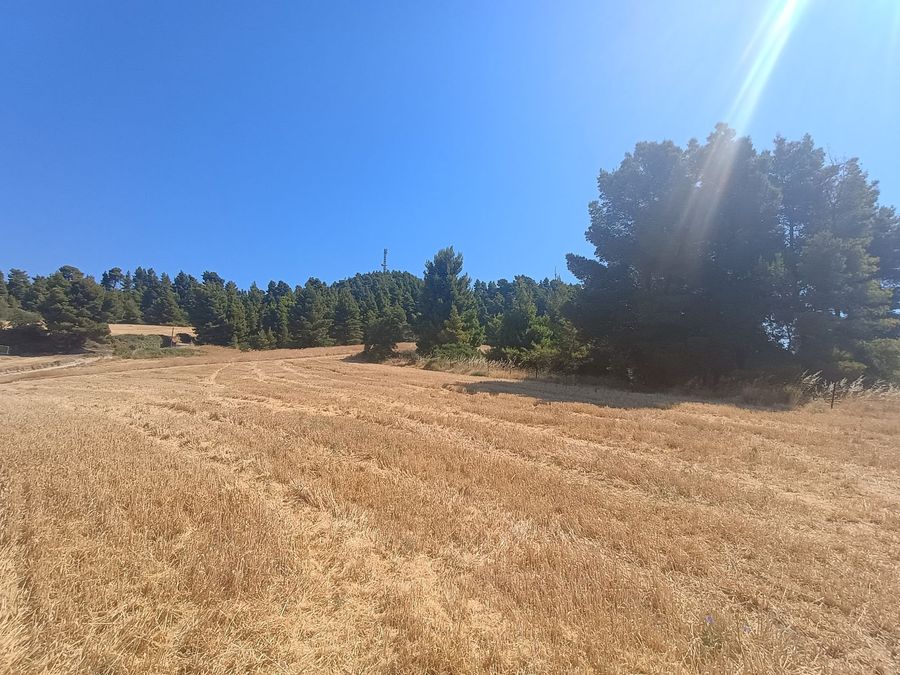 Photo 321291076
