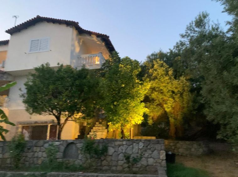 Photo 321298525