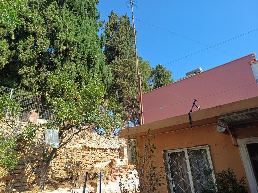 Photo 321323692