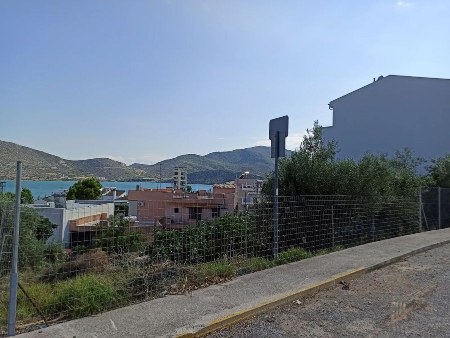 Photo 321393493