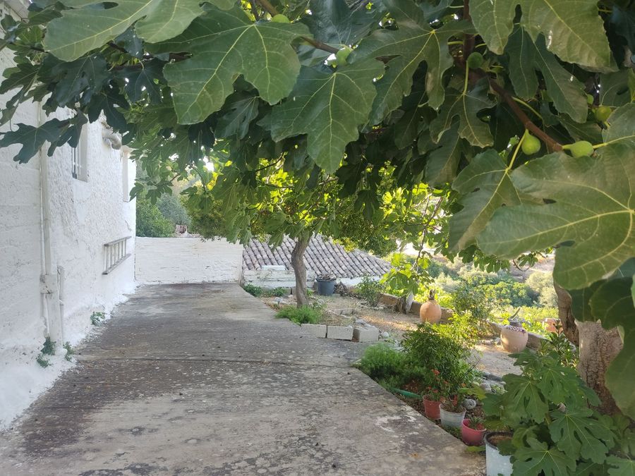 Photo 321610534