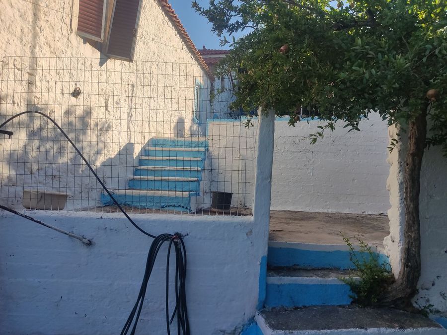 Photo 321610549