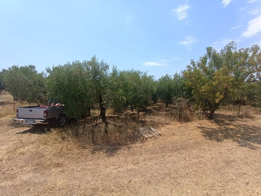 Photo 321900559