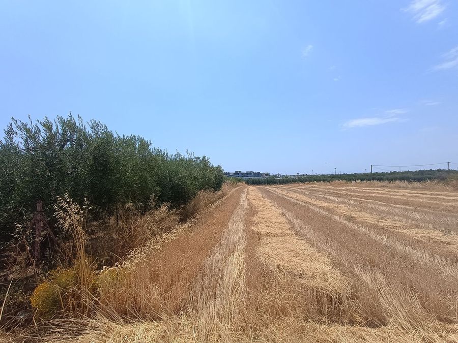Photo 321900565