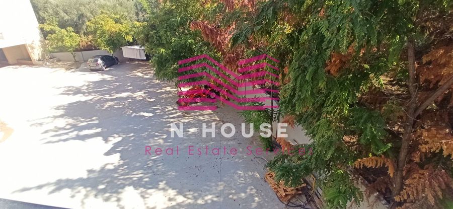 Photo 321912586