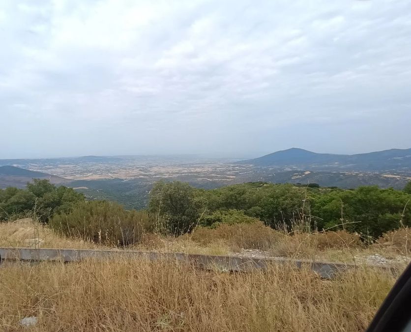 Photo 322307974