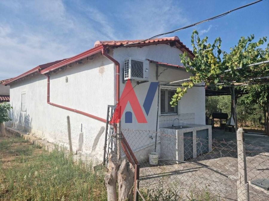 Fotografija 322322758