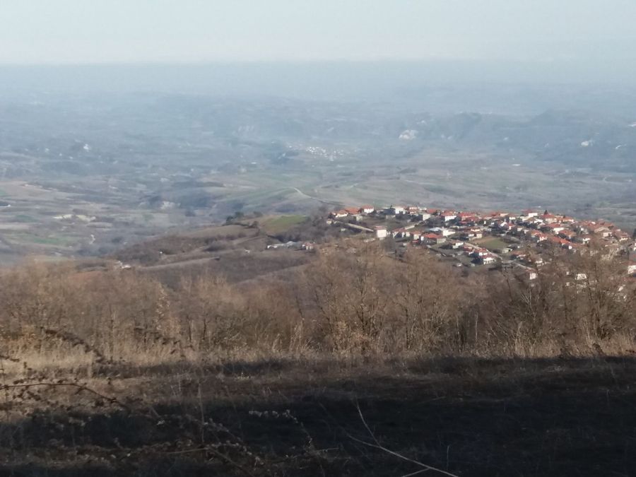 Photo 322354696
