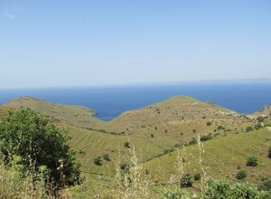 Πώληση, Αγροτεμάχιο, Άγιος Νικόλαος Νύχι (Κέα)