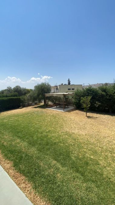 Photo 322894804