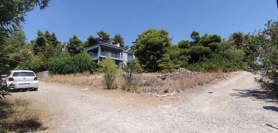 Photo 322962364