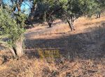 Photo 323091502