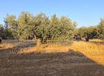 Photo 323091520