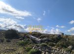 Photo 323412424
