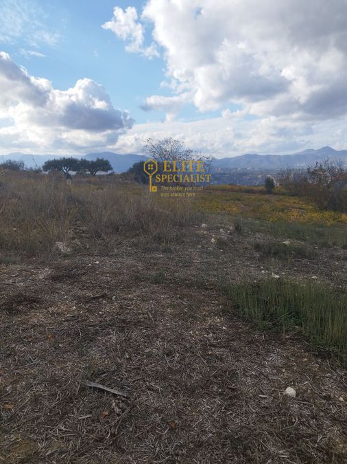 Photo 323432845