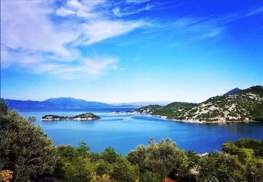 Fotografija 324040093