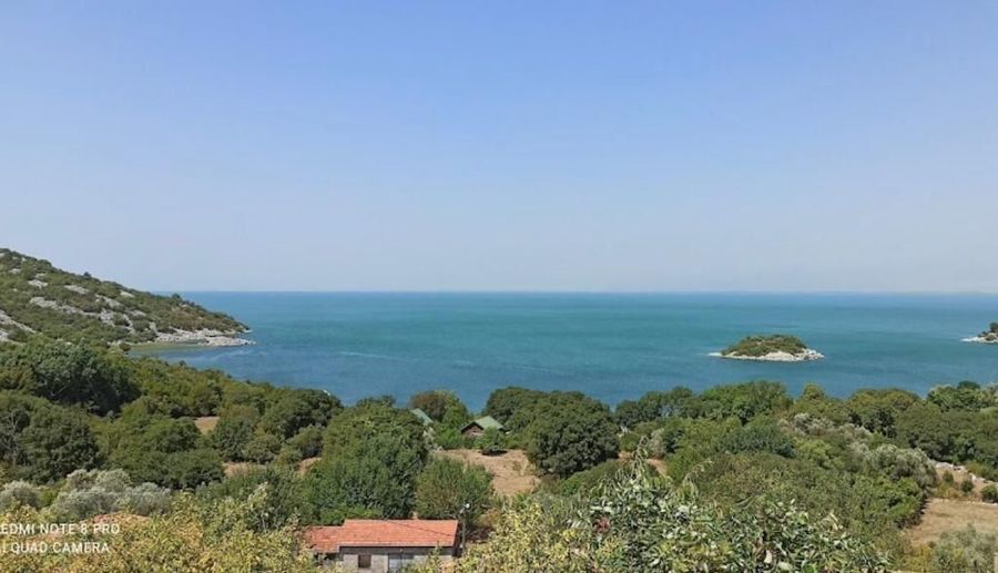 Fotografija 324040096