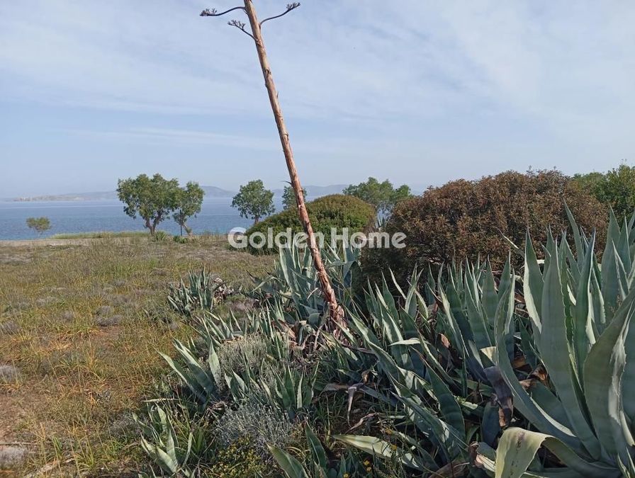 Photo 2,Οικόπεδο, 1250τ.μ.,Θερμά, Αίγινα (Νησιά Αργοσαρωνικού),€590.000