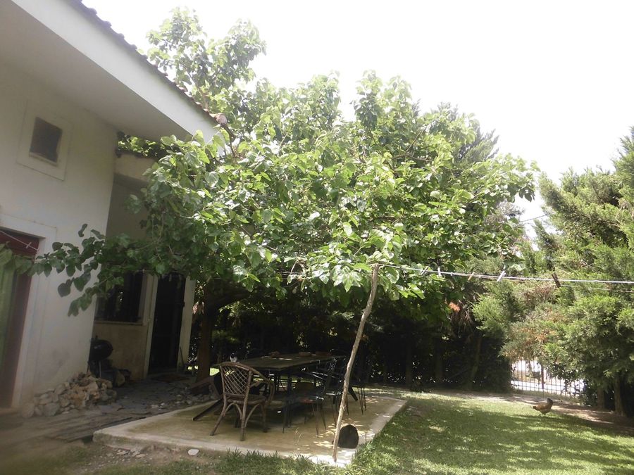 Photo 324213238