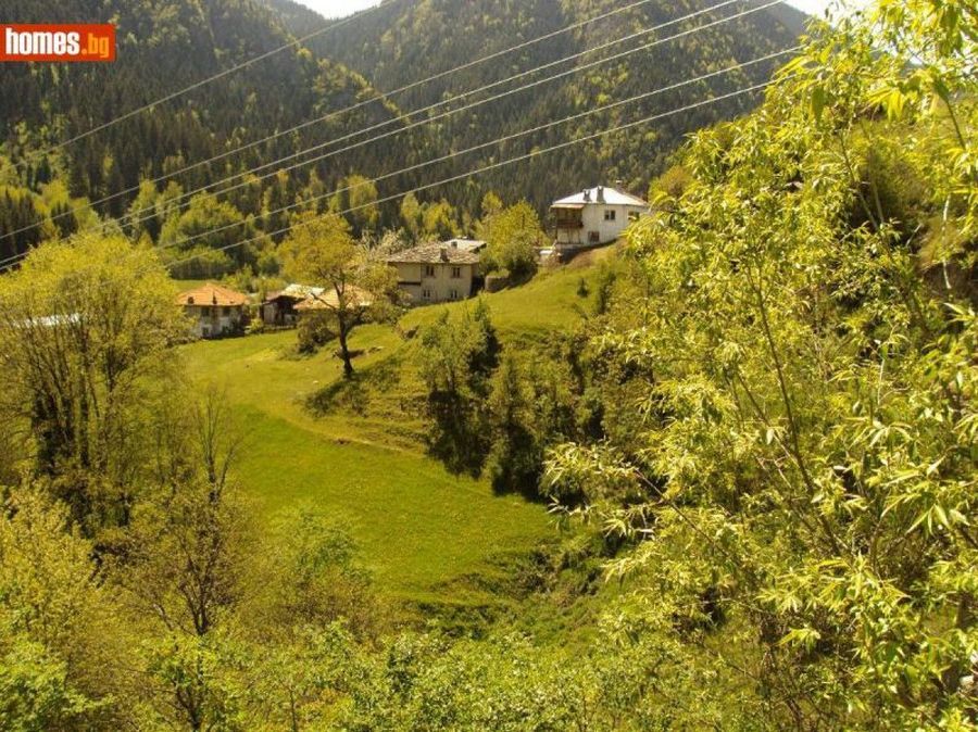 Снимка 324360466