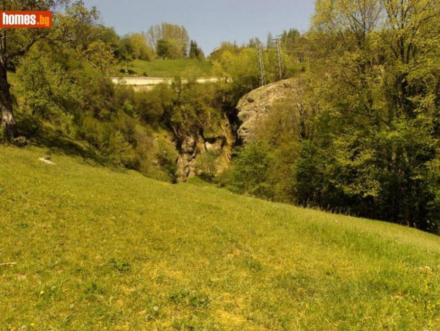 Снимка 324360469