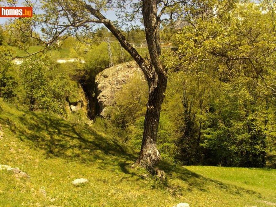 Снимка 324360472