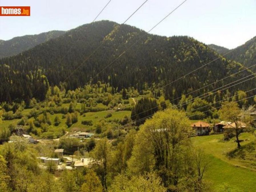 Снимка 324360478