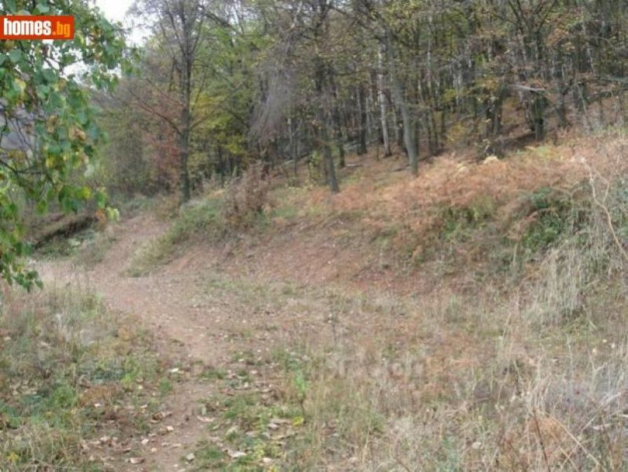 Снимка 324360496