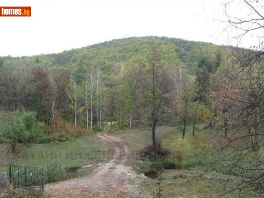 Снимка 324360499