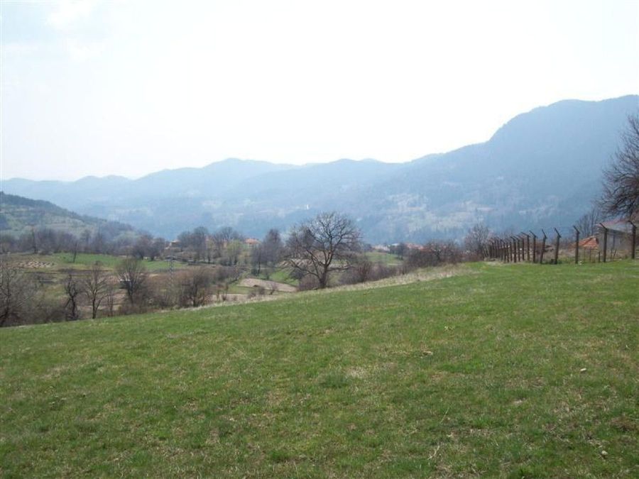 Снимка 324360529