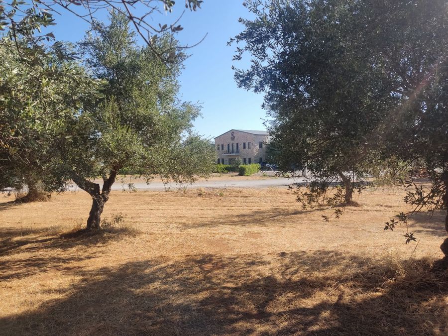 Photo 324605431