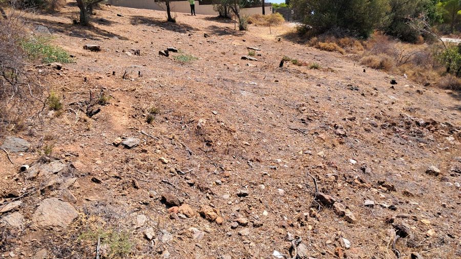 Photo 324630451