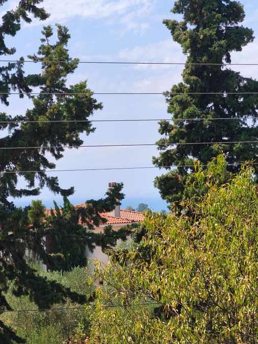 Photo 324787825